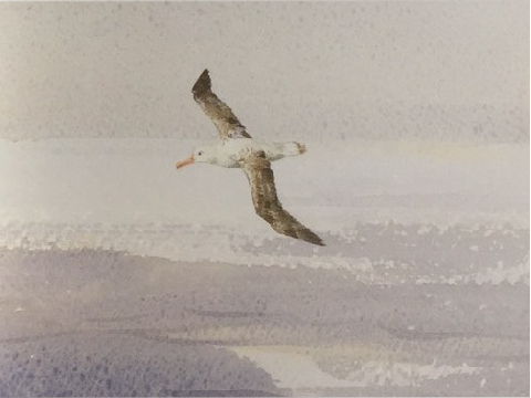 閱讀角落 - 繪本同樂會