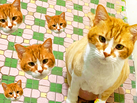 暖身演出：（仁）愛（建）國閃電俠